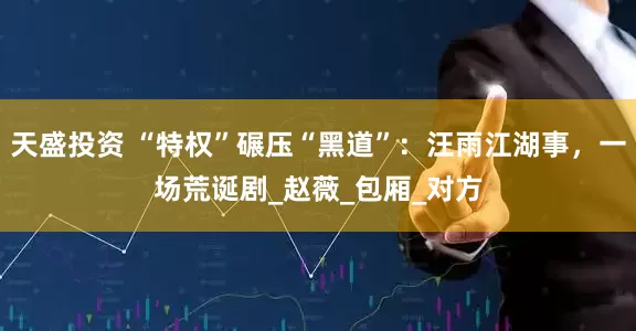 天盛投资 “特权”碾压“黑道”：汪雨江湖事，一场荒诞剧_赵薇_包厢_对方