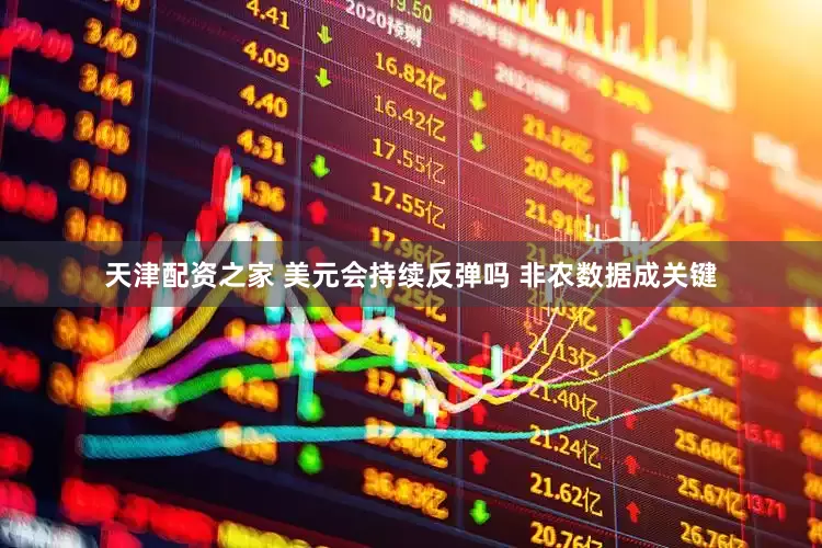天津配资之家 美元会持续反弹吗 非农数据成关键