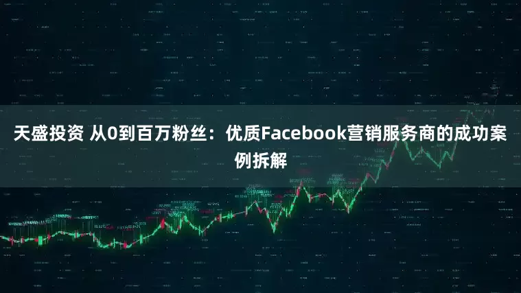 天盛投资 从0到百万粉丝：优质Facebook营销服务商的成功案例拆解
